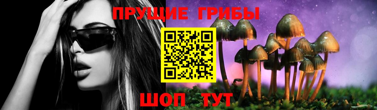 Псилоцибиновые грибы Psilocybine cubensis  Псилоцибиновые грибы мухоморы  Тейково  Вход с VPN 